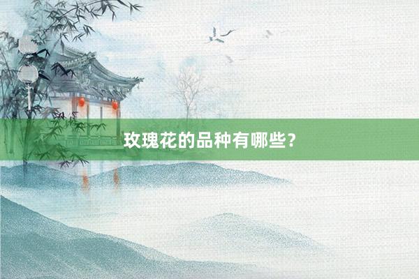 玫瑰花的品种有哪些？