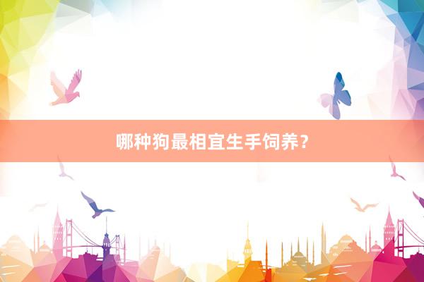 哪种狗最相宜生手饲养？